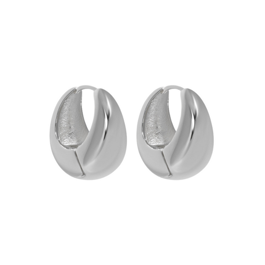 S925 Sterling Silver Earrings