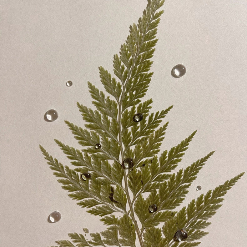 Simulated Ultra-Transparent Water Droplet Dew DIY Materials-350 pieces