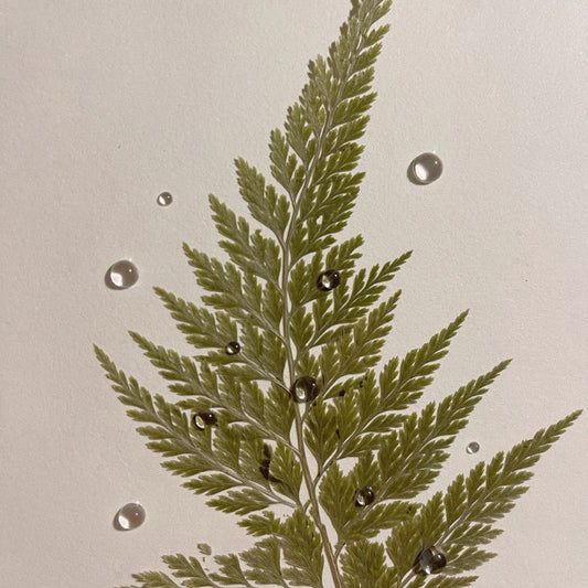 Simulated Ultra-Transparent Water Droplet Dew DIY Materials-350 pieces