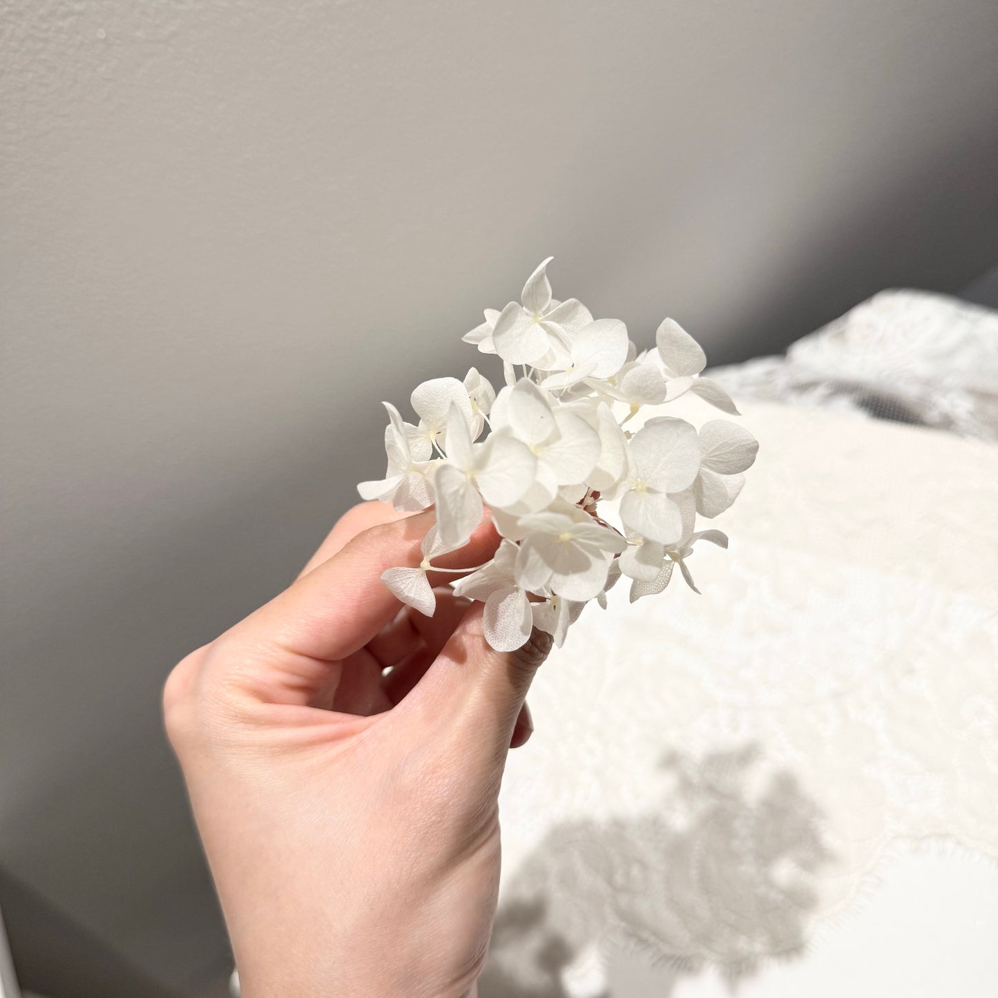 Preserved Hydrangea（as shown in the picture）